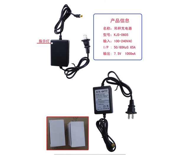 FH在线,长沙电动葫芦,长沙钢丝绳,电子吊秤哪里的好