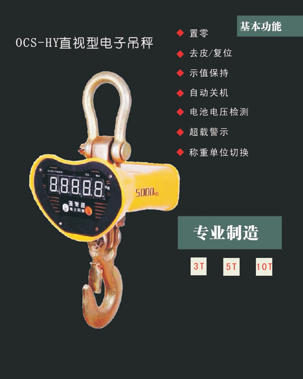 FH在线,长沙电动葫芦,长沙钢丝绳,电子吊秤哪里的好