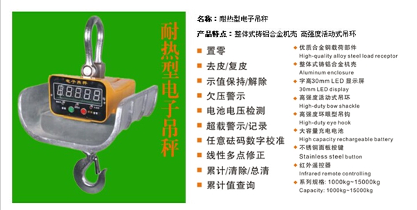 FH在线,长沙电动葫芦,长沙钢丝绳,电子吊秤哪里的好